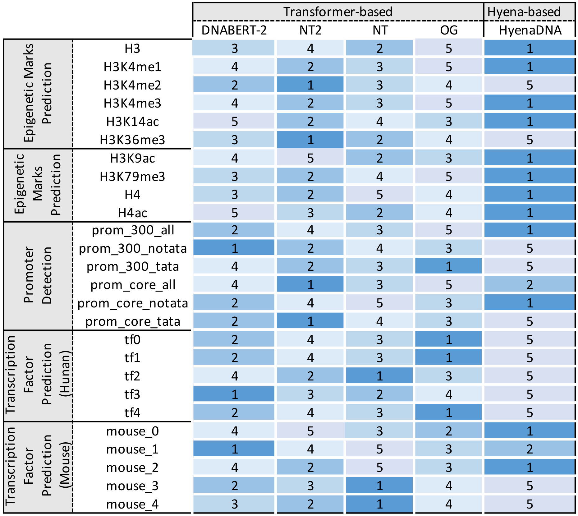 Figure 3: heat map of ranks from 1 to 5 for DNABERT-2, NT2, NT, GenomeOcean and HyenaDNA on each of the 26 datasets, grouped into epigenetic marks, promoter detection, and human and mouse transcription factor prediction.